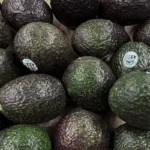 Exportaciones de Aguacate a Estados Unidos Crecen 35 por ciento