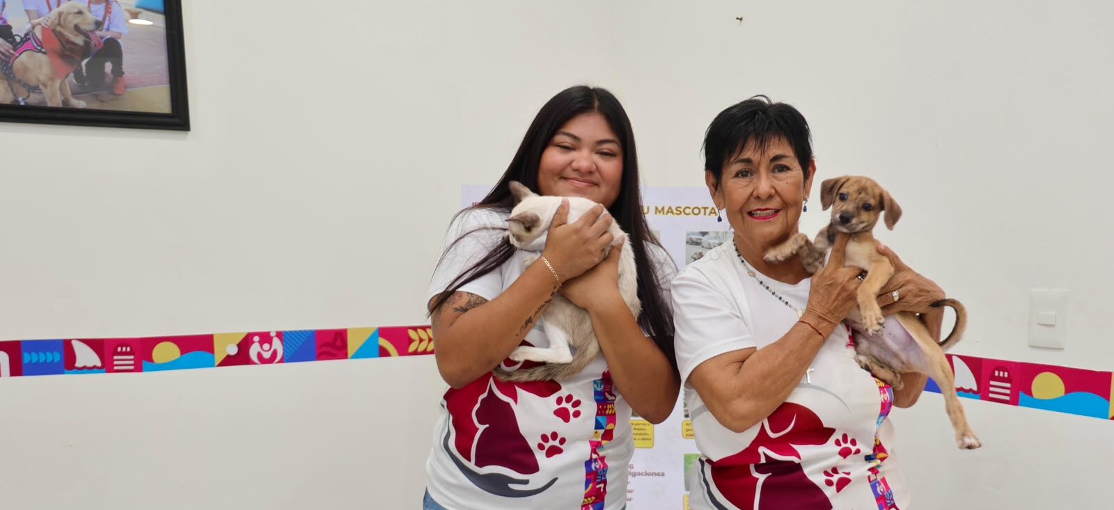 Gobierno de Isla Mujeres fortalece el bienestar animal con servicios permanentes y adopción responsable