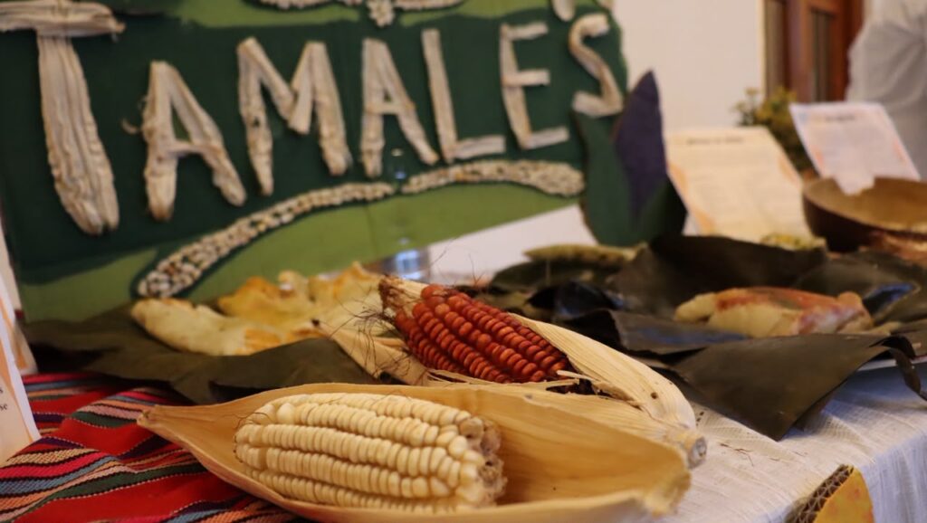 Arranca el Festival del Maíz en Felipe Carrillo Puerto con muestra gastronómica y cultural