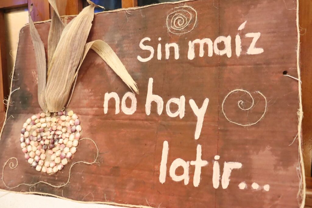 Arranca el Festival del Maíz en Felipe Carrillo Puerto con muestra gastronómica y cultural