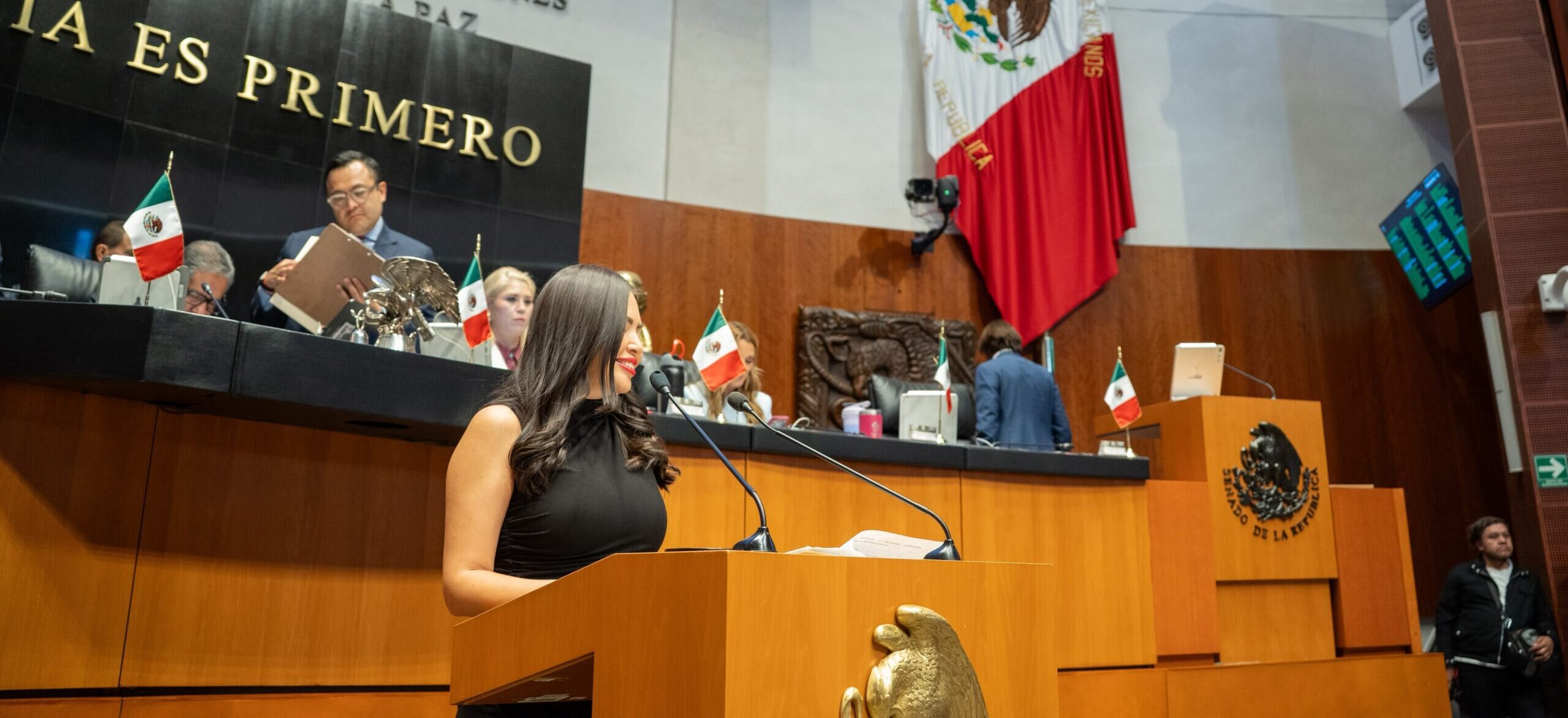 Anahí González impulsa una reforma que lleva la igualdad a todos los ámbitos para mujeres indígenas y afromexicanas